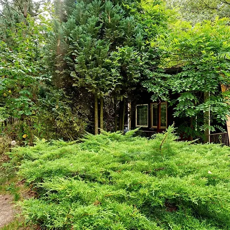 24 - Kimbucht 假日公园 Reichendorf