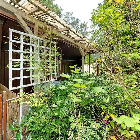 24 - Kimbucht * Reichendorf