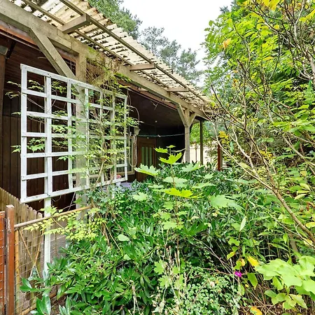 Tatil parkı 24 - Kimbucht Reichendorf